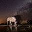 A luxury hide in Botswana's Mashatu reserve that should click with photographers