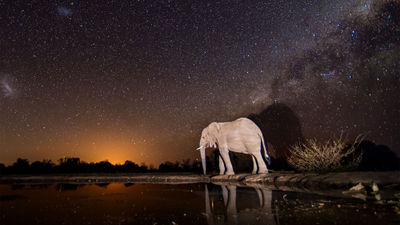 Nonintrusive lighting is being introduced around the waterhole to ensure the best possible conditions for nocturnal photography.