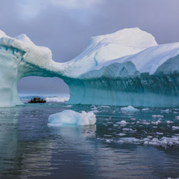 Antarctica Cruises