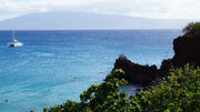 Puu Kekaa (also called "Black Rock") is a popular spot for snorkeling and cliff diving.