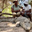 Spending a while with a crocodile on Gambia sailing