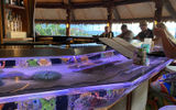 The view from Humuhumunukunukuāpuaʻa' restaurant at the Grand Wailea resrot. The newly renovated indoor-outdoor thatch-roofed dining area was overhauled during the property's $350 million renovation and given a circular bar with a glass aquarium housing live Hawaiian fish species.